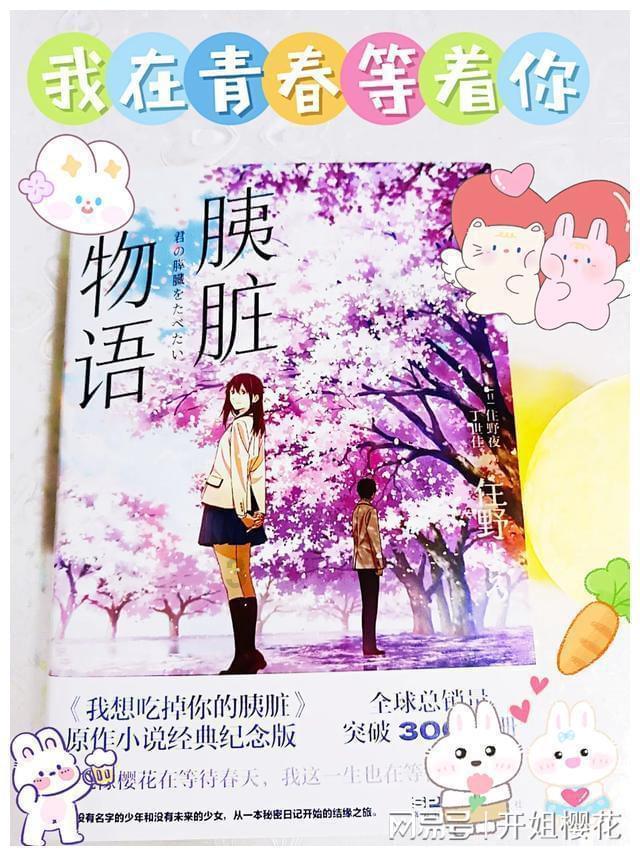 新航道雅思培训机构官网
